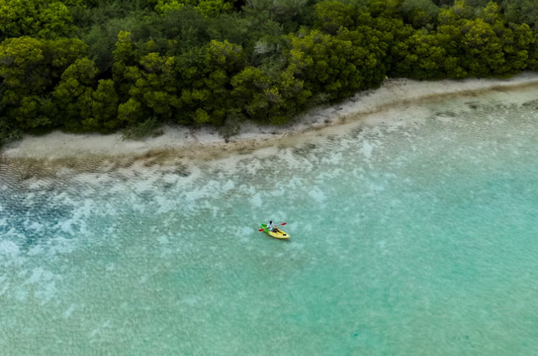 Nauru Vatandaşlık Programı