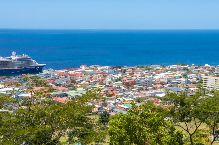 Dominika Vatandaşlık Programı